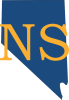 NVSynth-logo-no-name